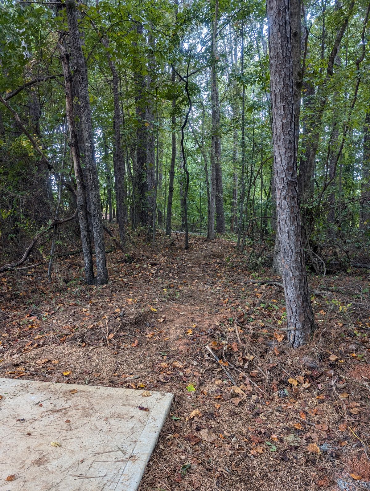 Hole 9 to the left