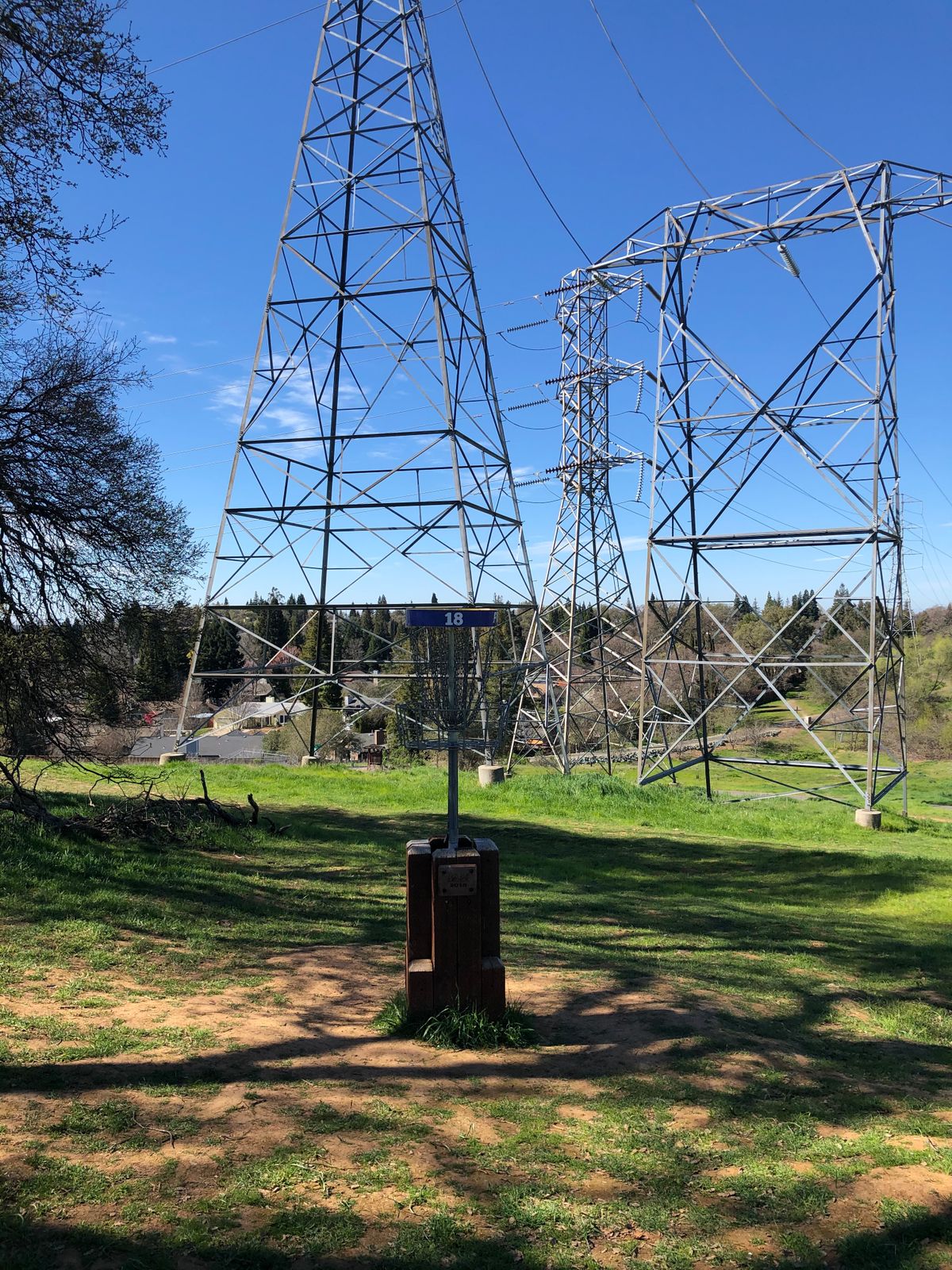 Elevated basket at 18