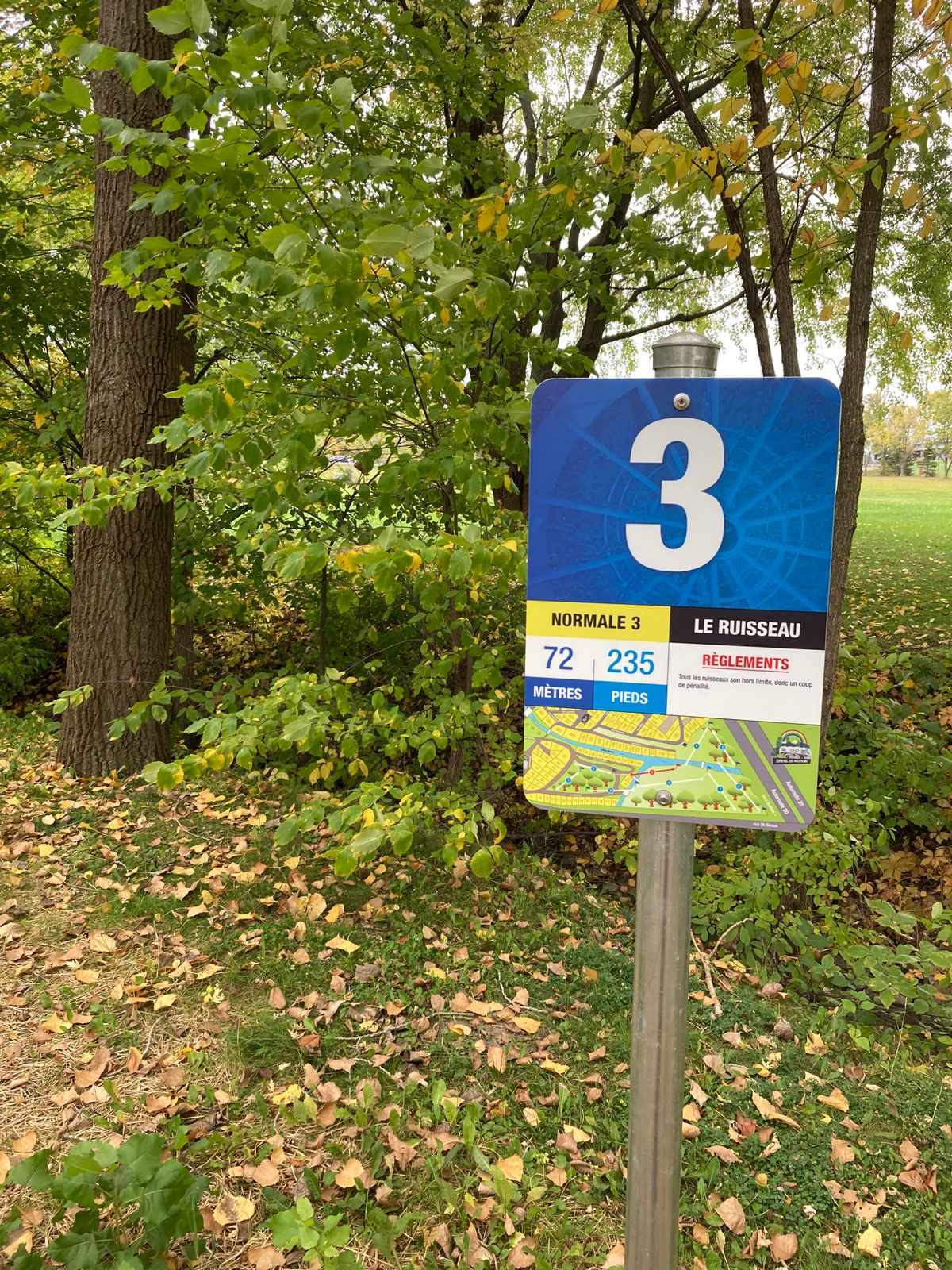 Départ #3 panier assez loin après les arbres et ruisseau, vers la gauche