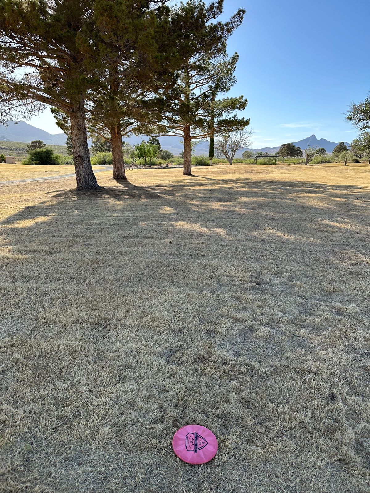 13 fairway