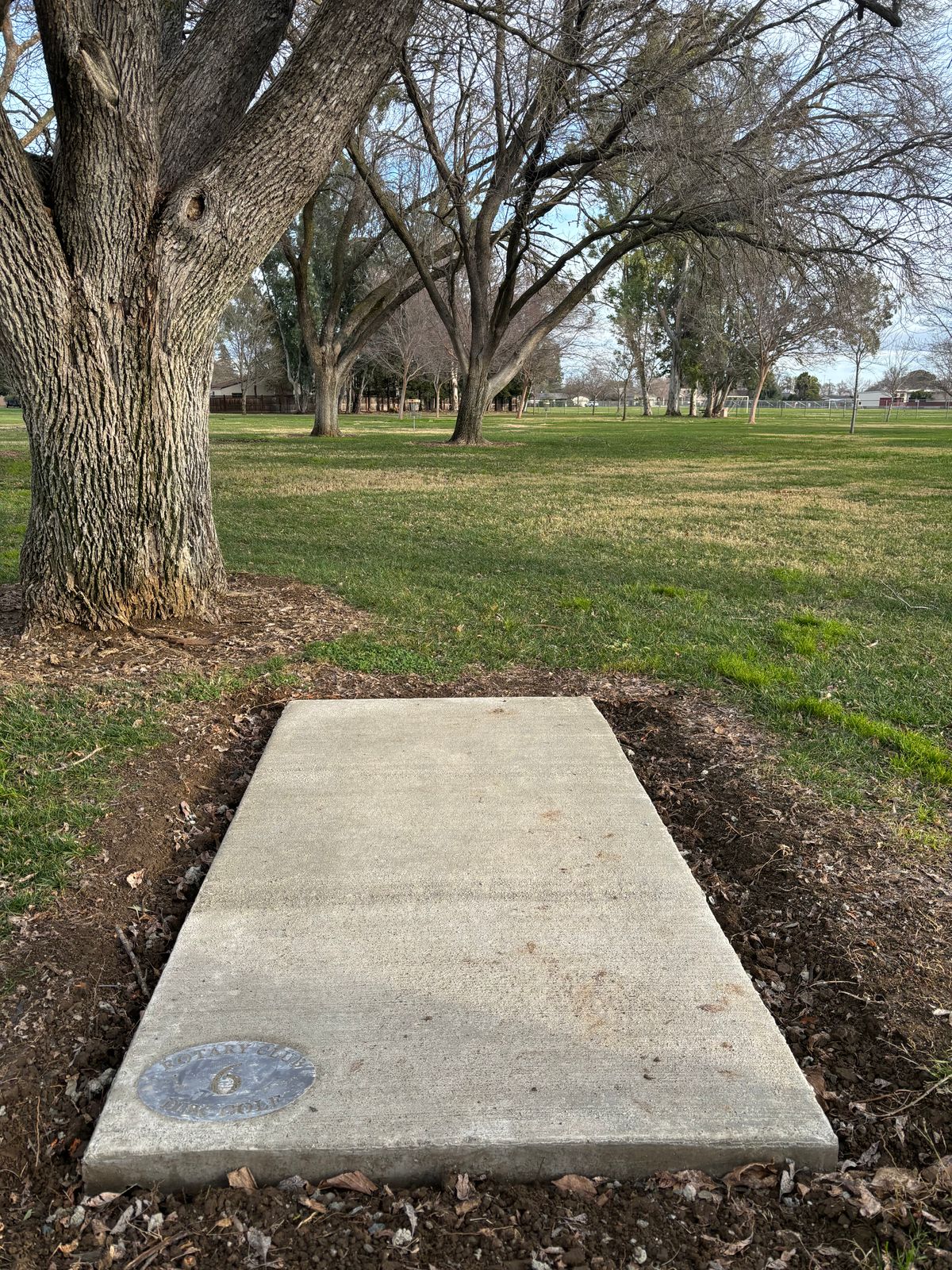 6 tee pad.