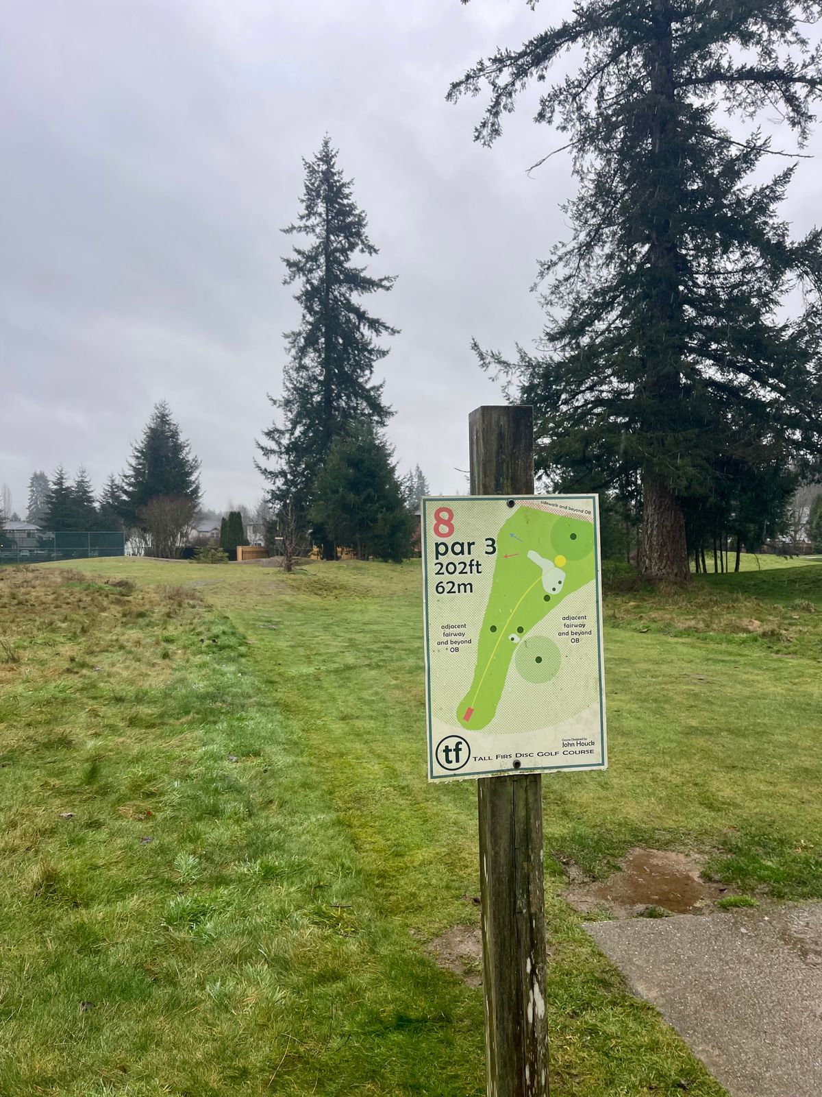Hole 8 tee