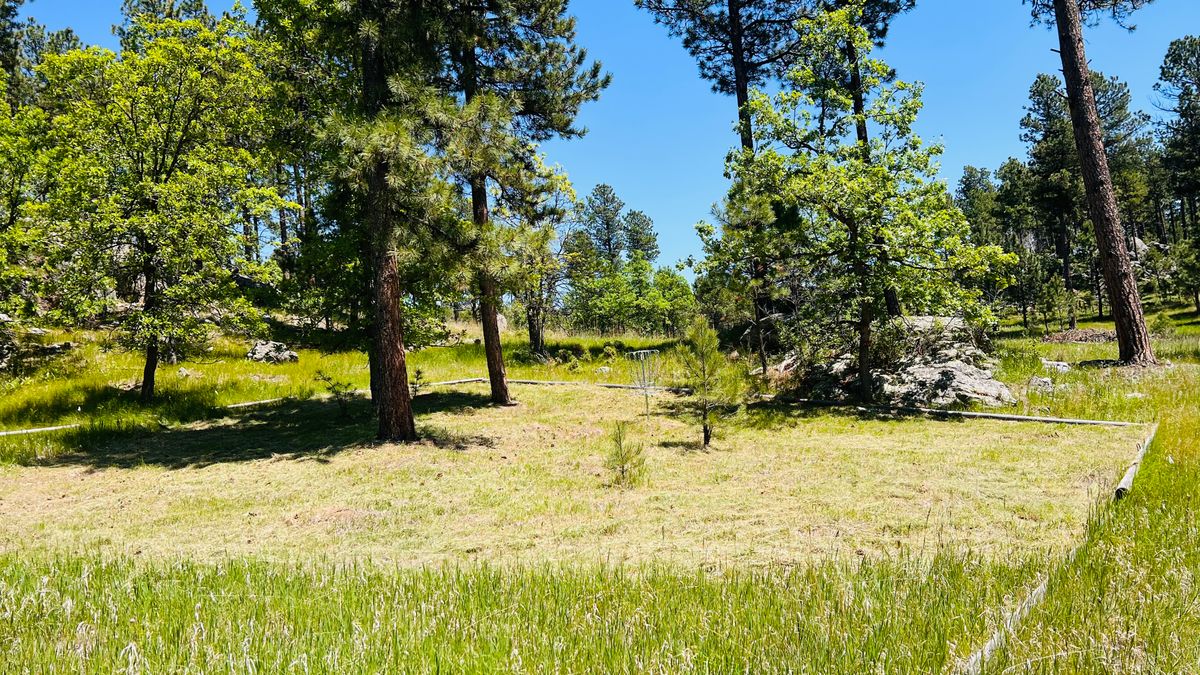 Hole 12 island