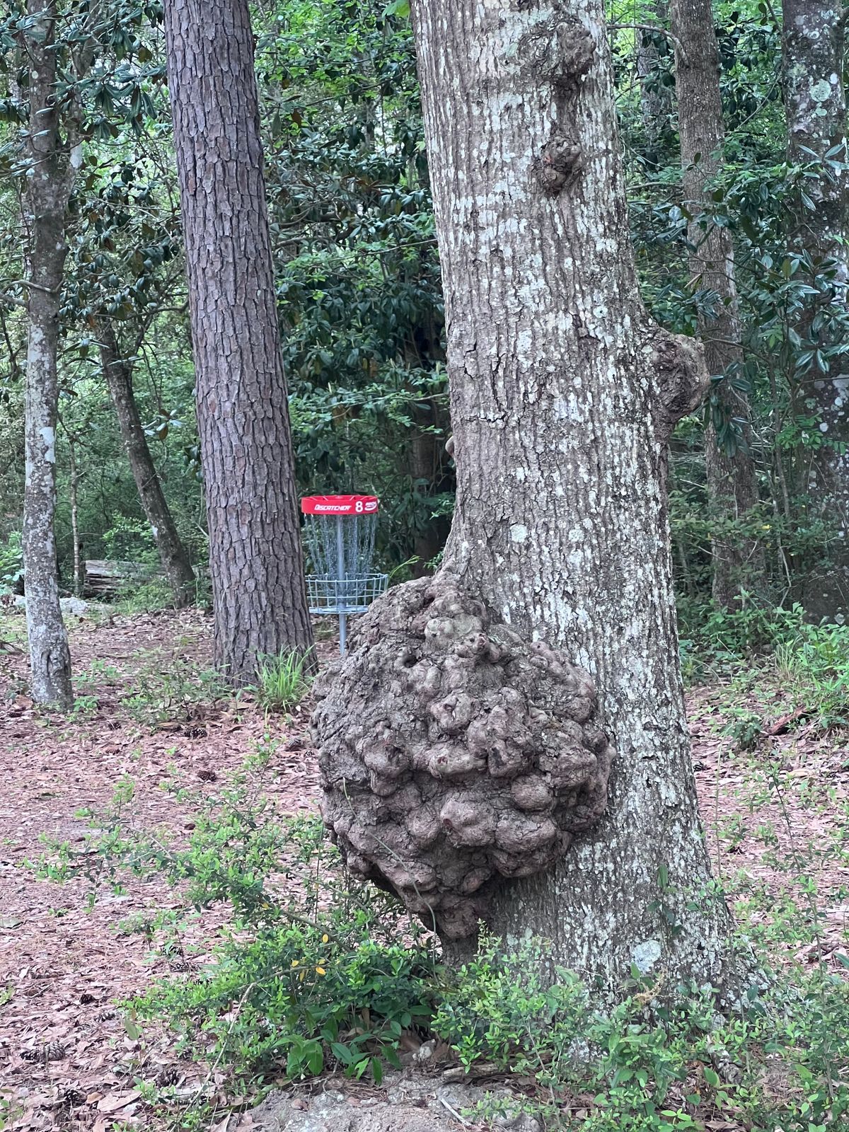 Knot too sure about this approach.