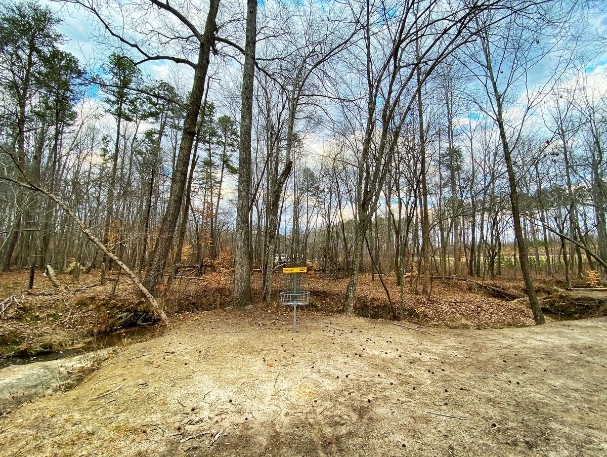 Creek adjacent to the green; great hole with the creek along the length of the fairway