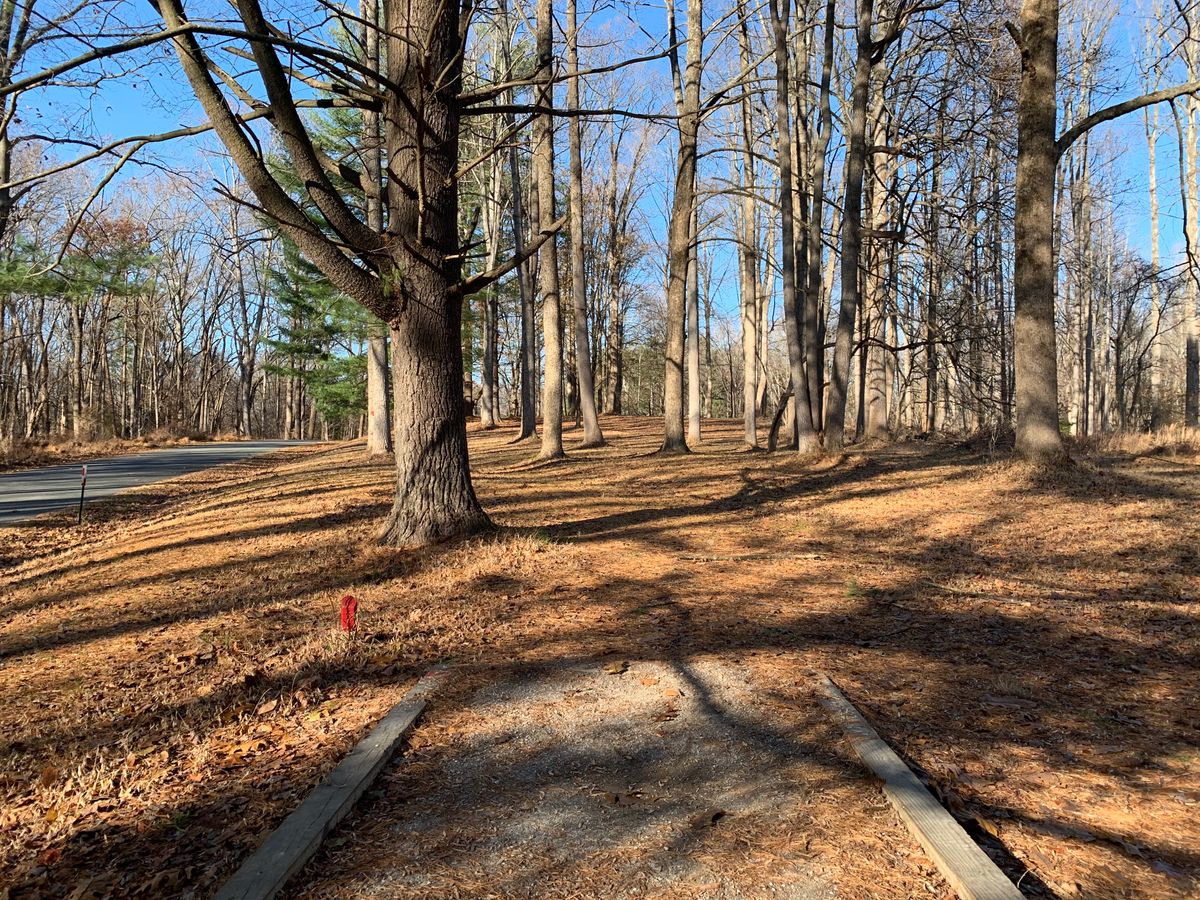 Hole 5 (short tee)