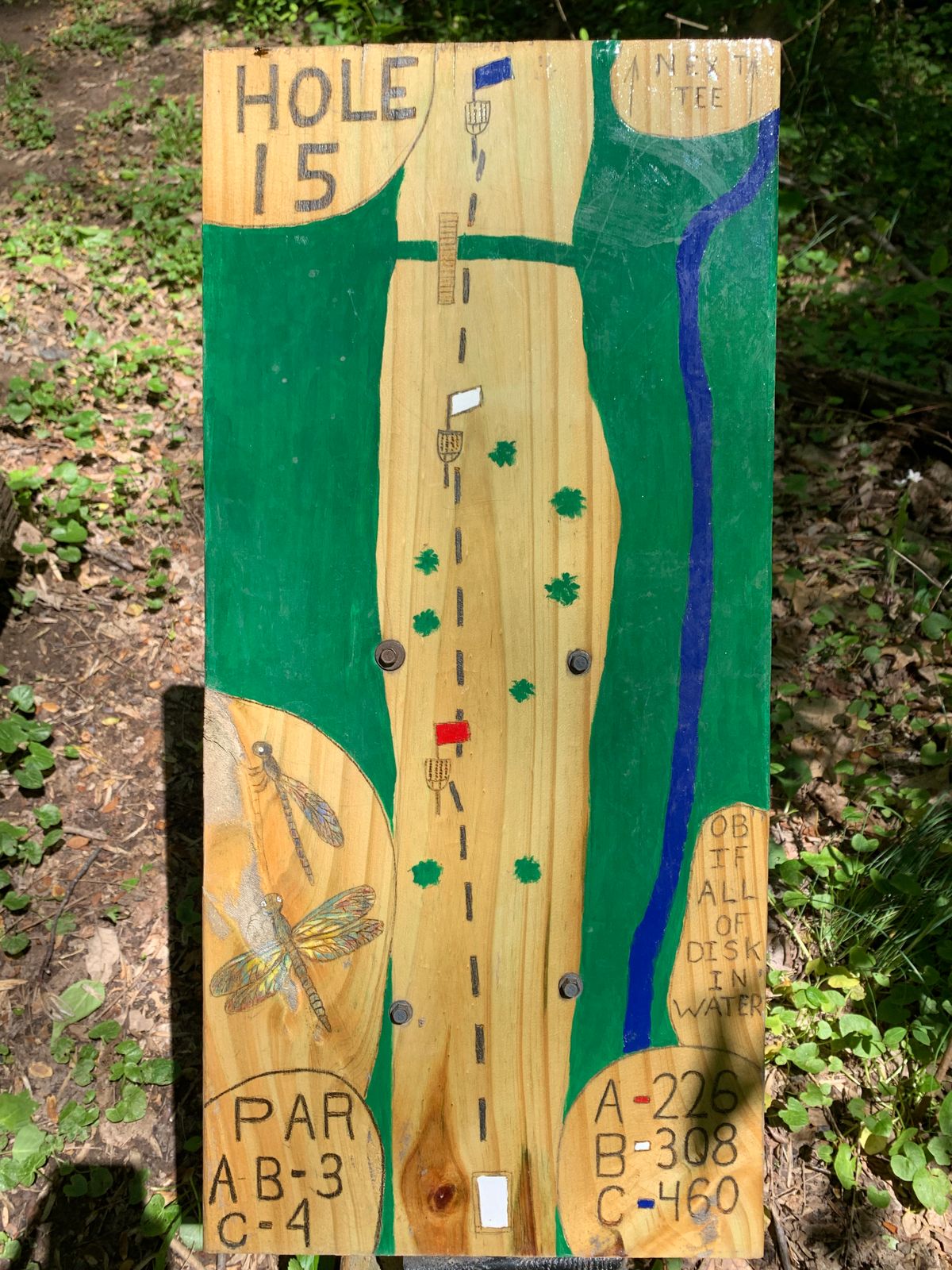 Hole 15 Map