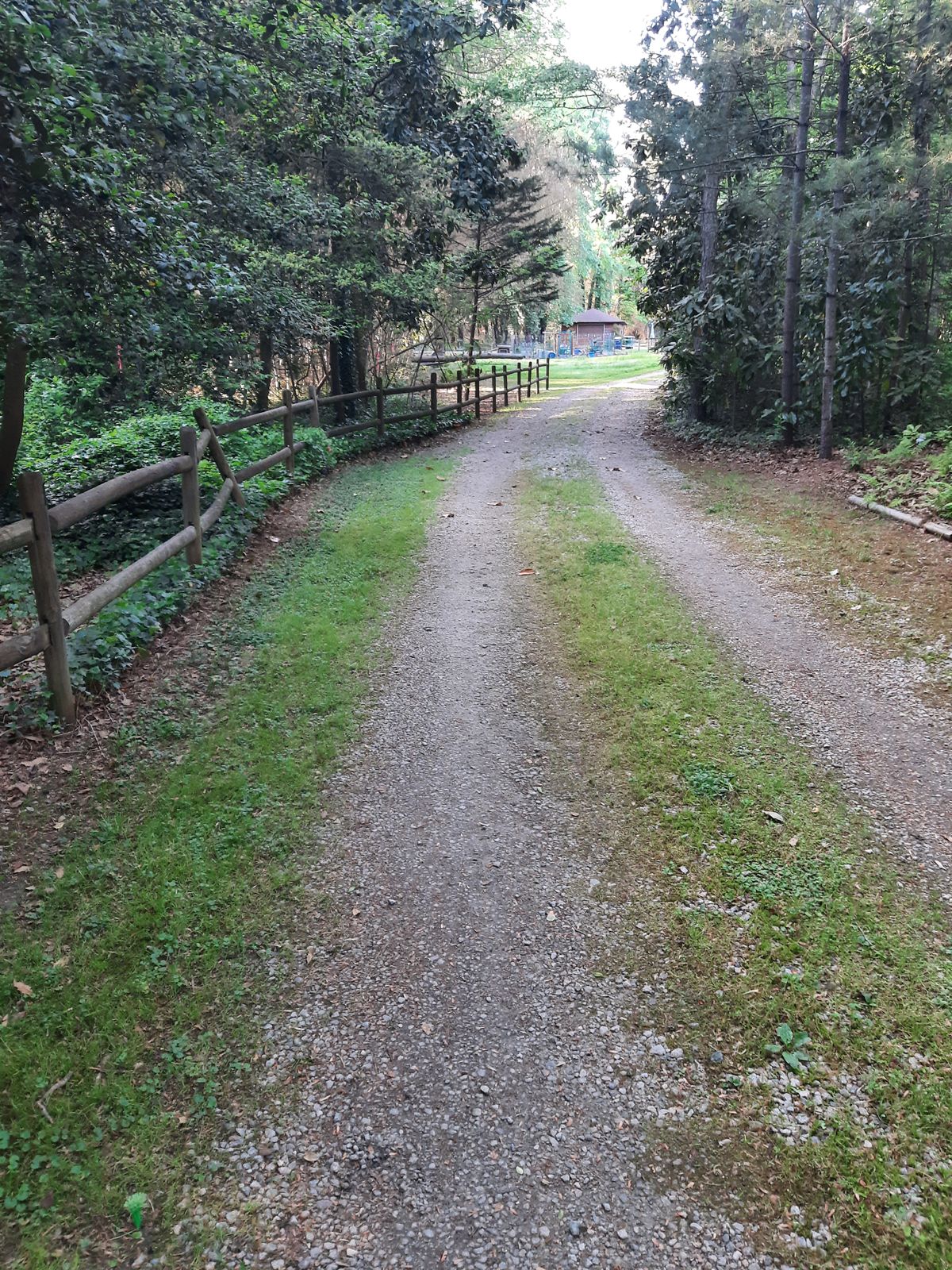 Hole 3 Gold Tee B Pin