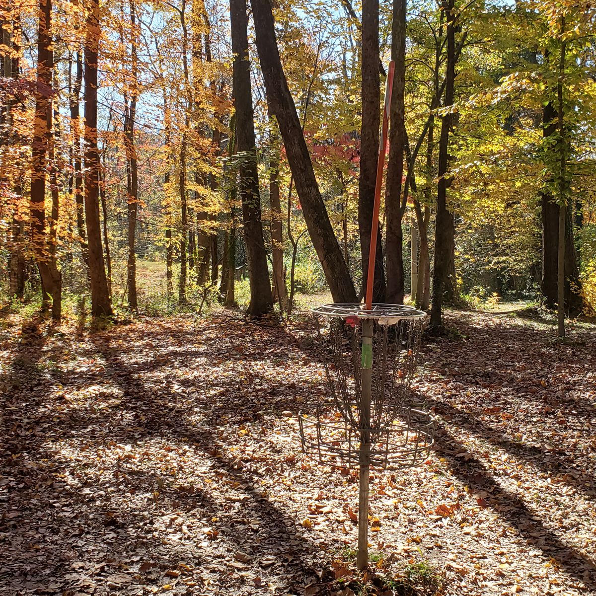 2nd basket looking back to the second tee. Nov 9, 2020.