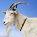 User avatar image