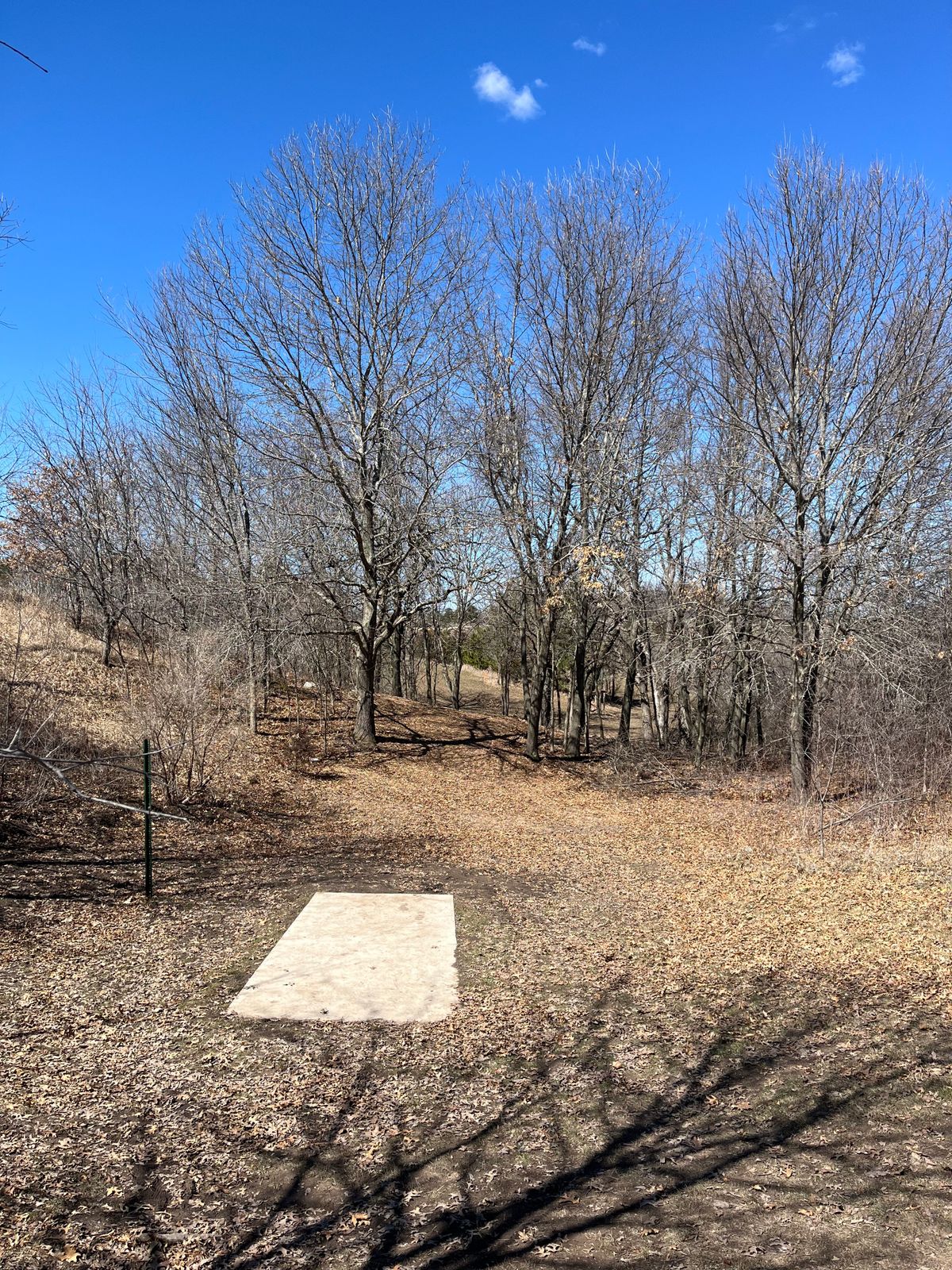 Tee 15 - Evergreen Layout