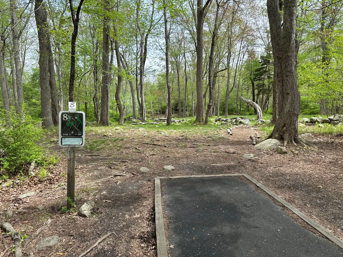 Hole 8 White Tee