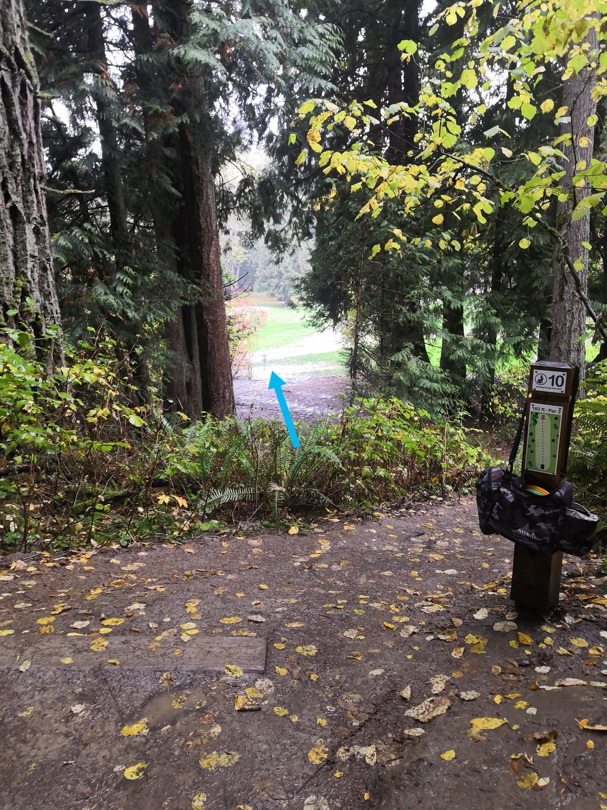 Hole 10