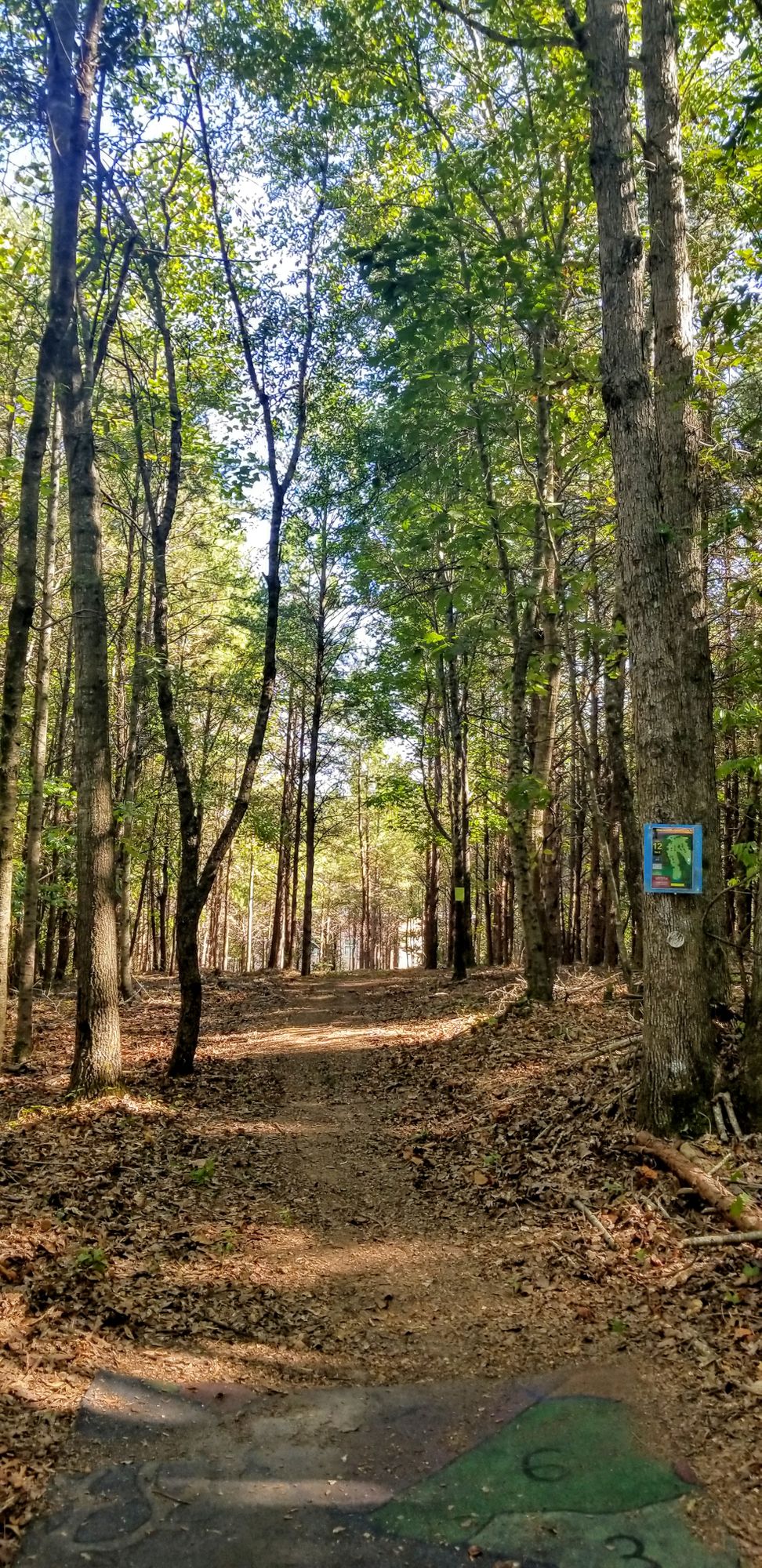Hole 12