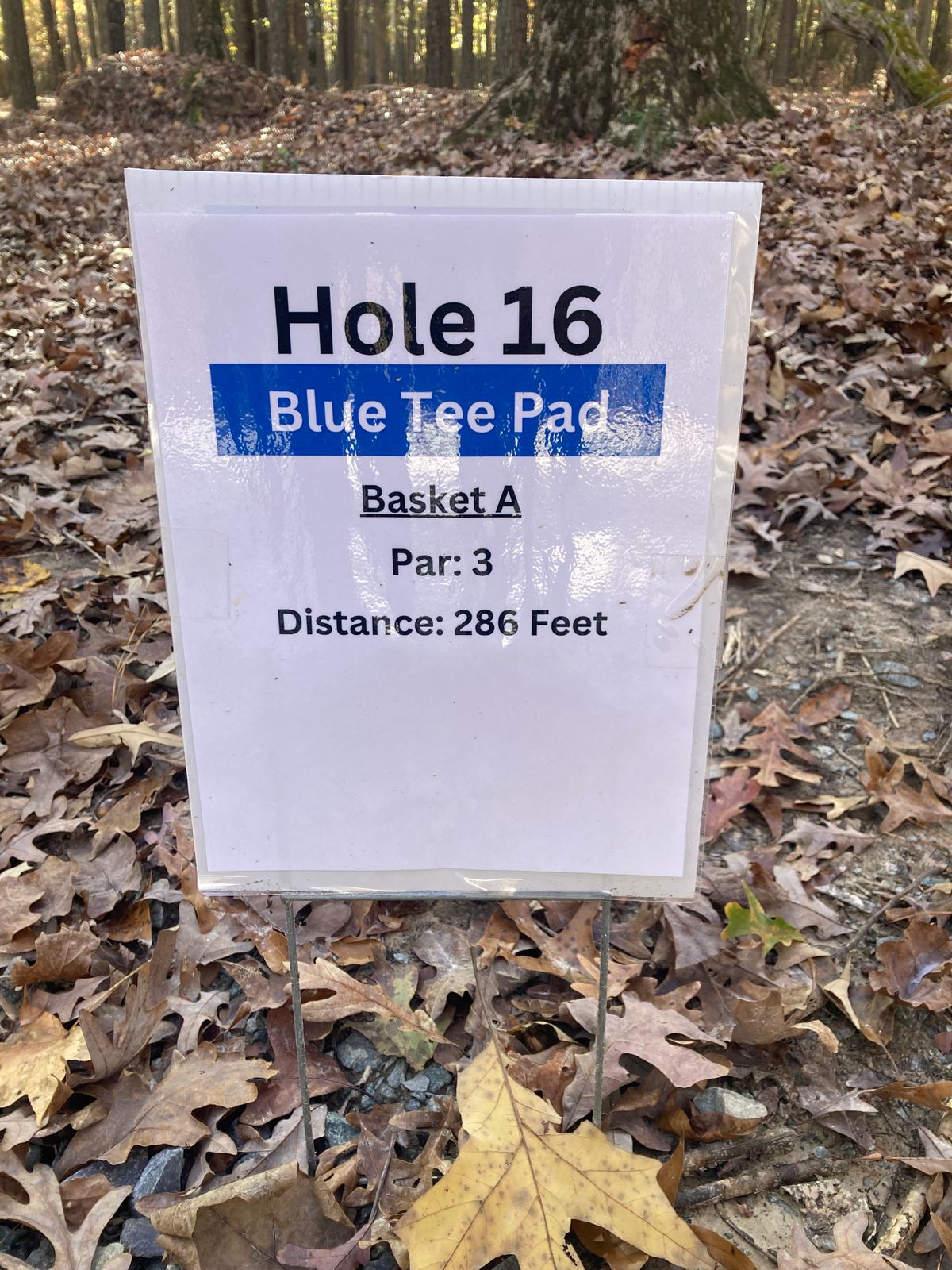 Hole 16 Blue Tee Sign