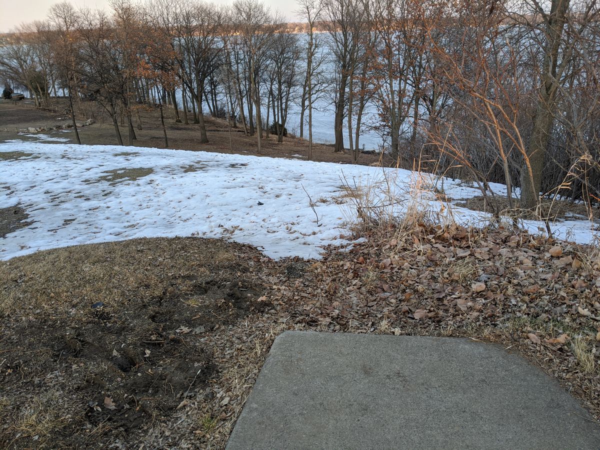 Hole 5 teepad