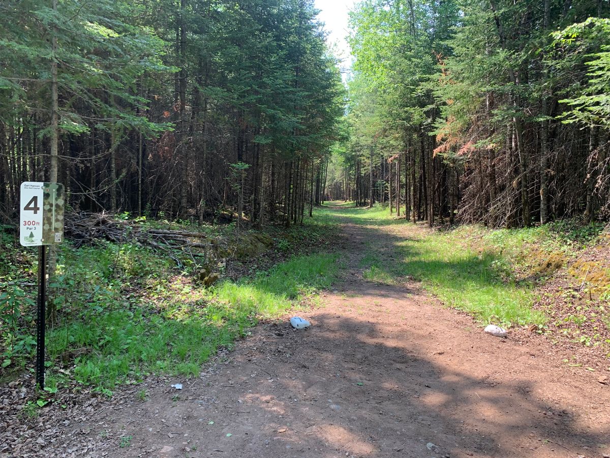 View from hole 4 teepad.