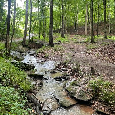 On hole 6. View from a few dozen feet in front of the tee. Short pin left and long pin next hill.