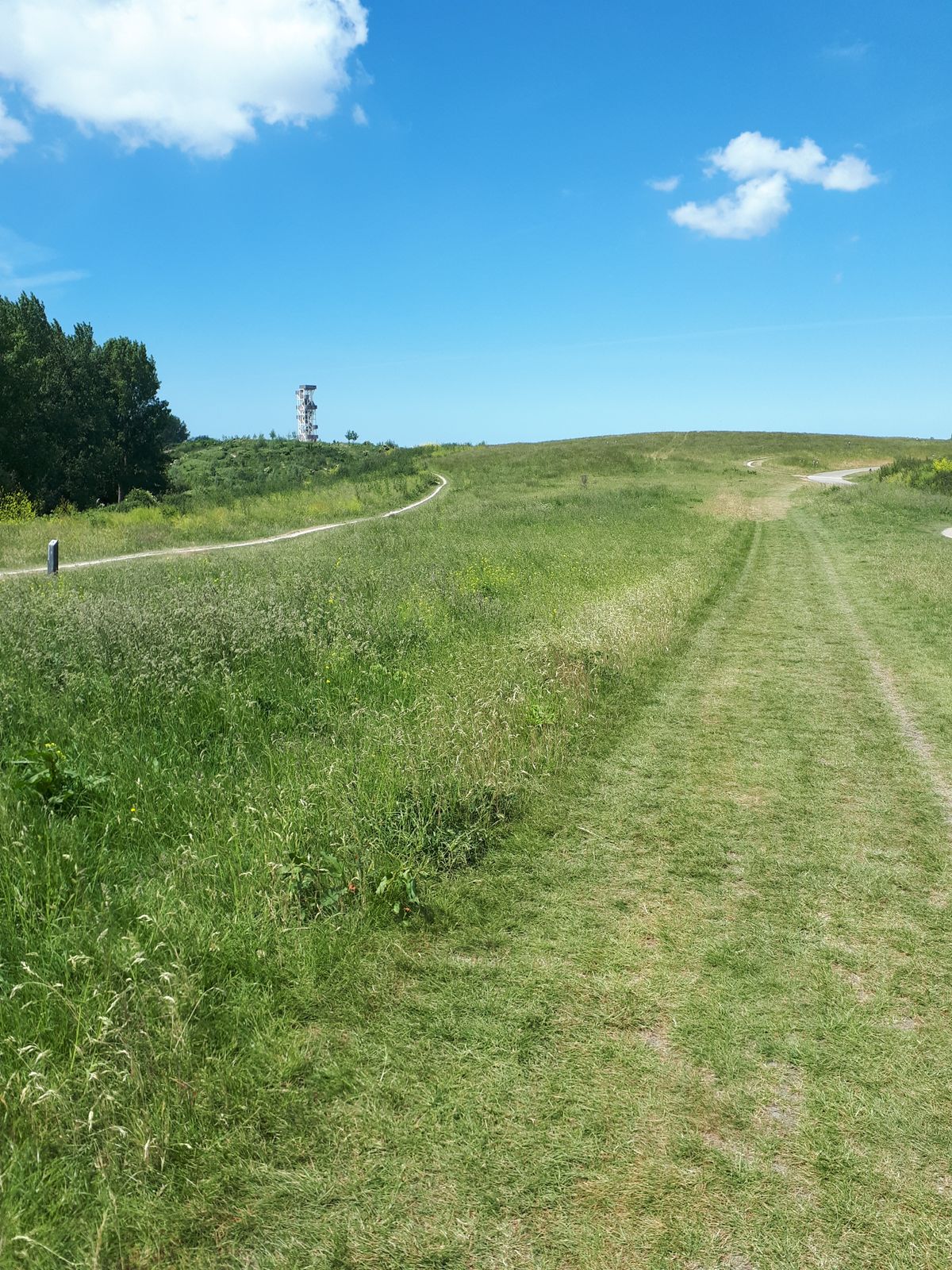 Hole 5, enjoy the view
