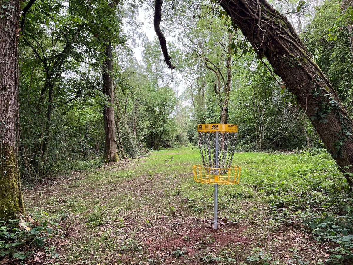 Basket 3 looking back to tee