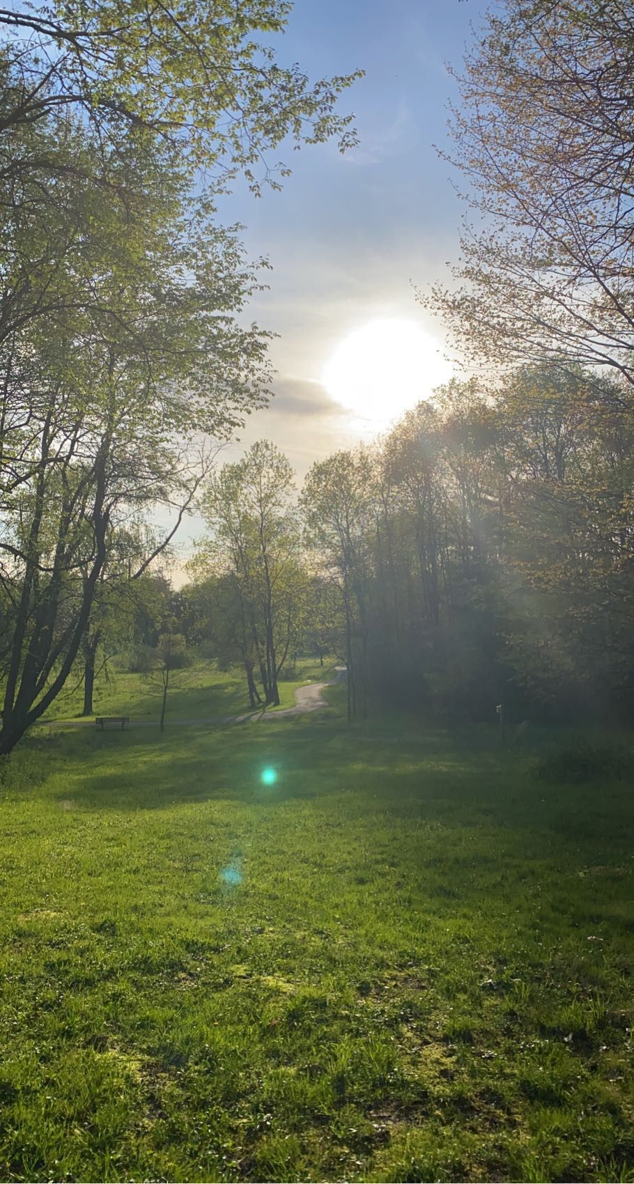 Hole 6