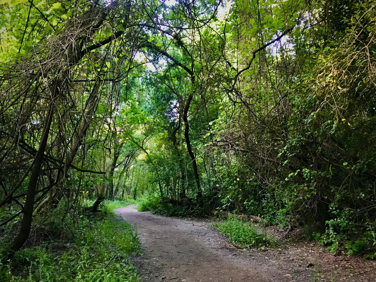 Beautiful walk to hole #2
