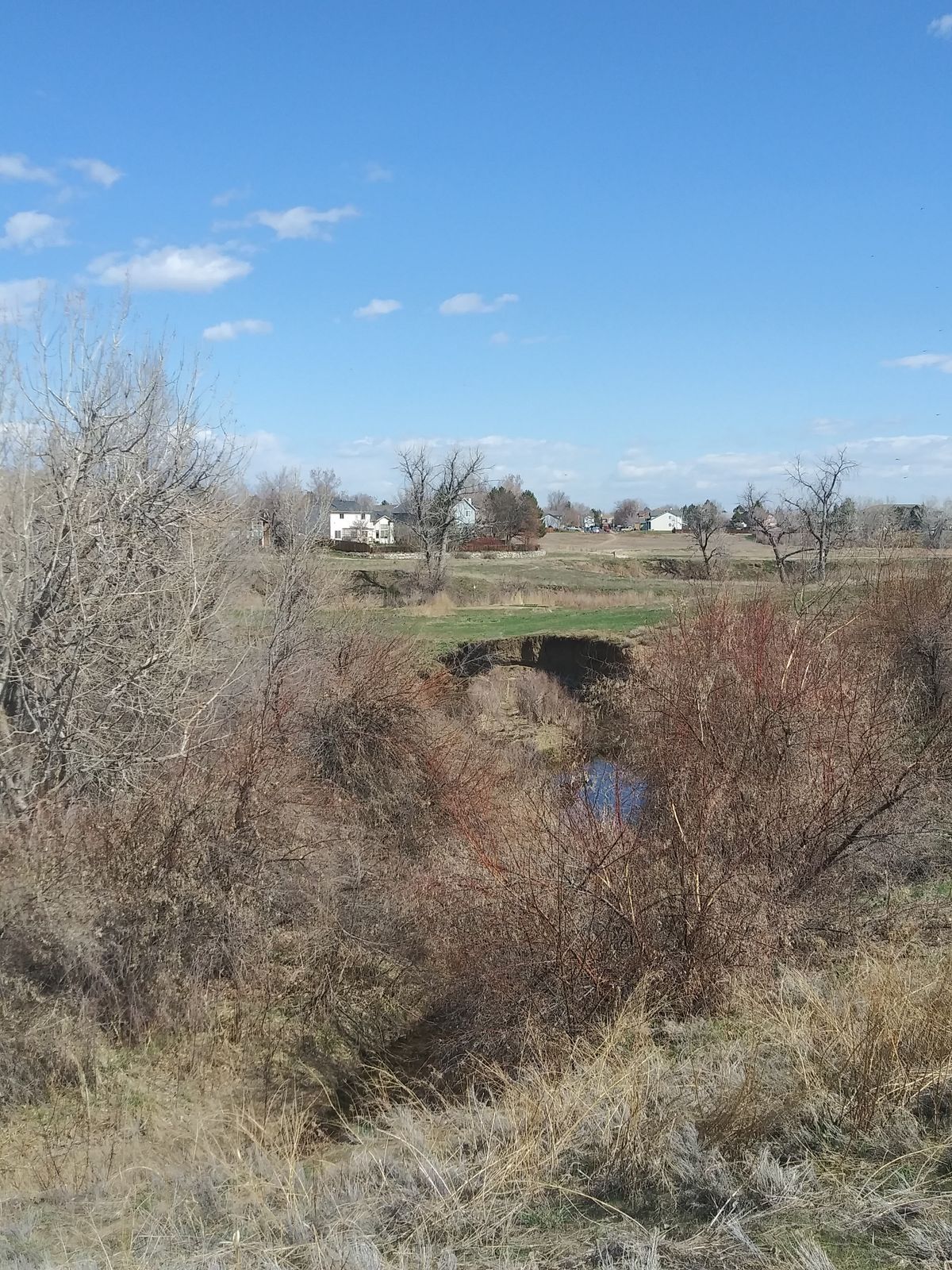 Great placements on back 9