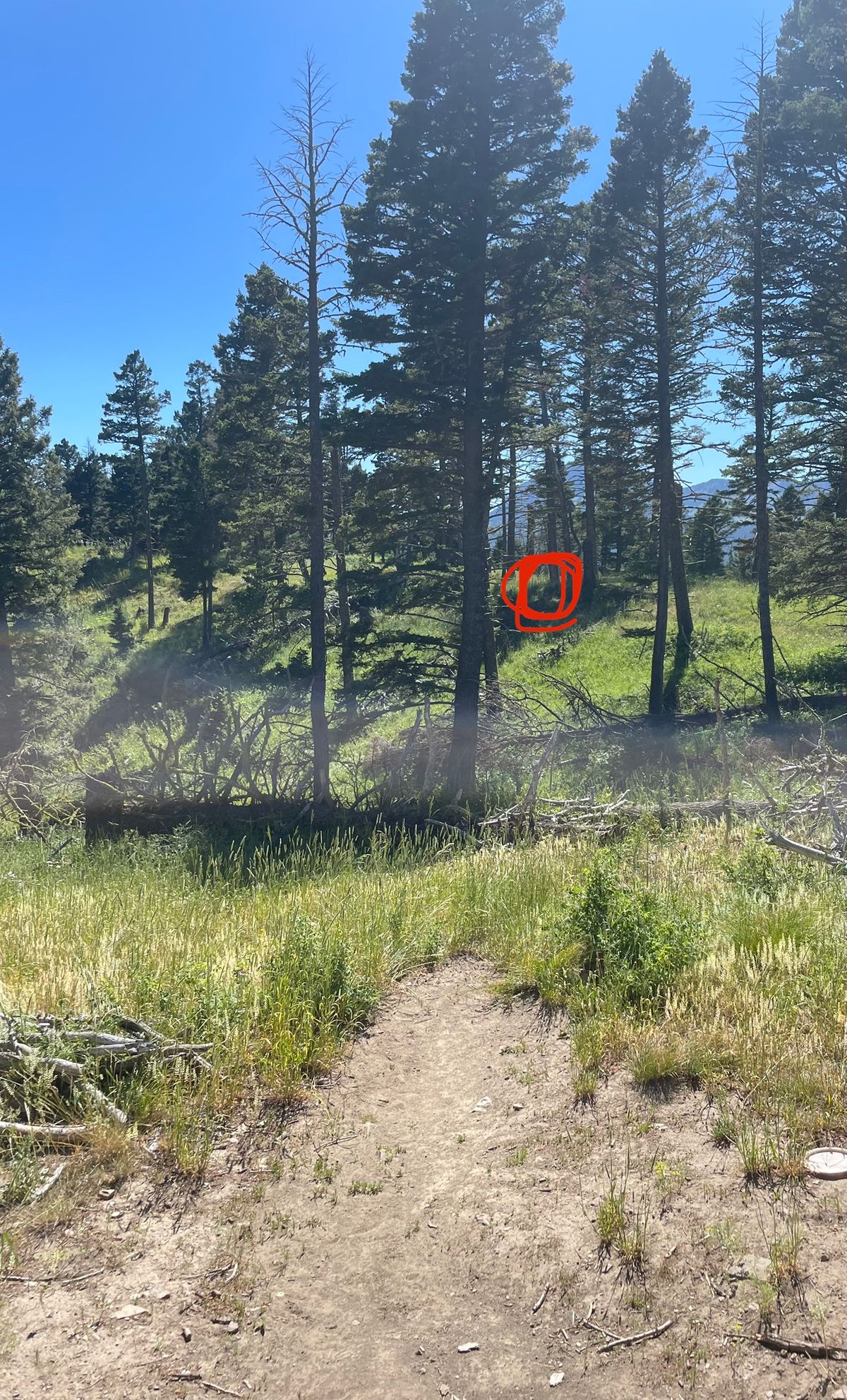 Tee box on Hole 3