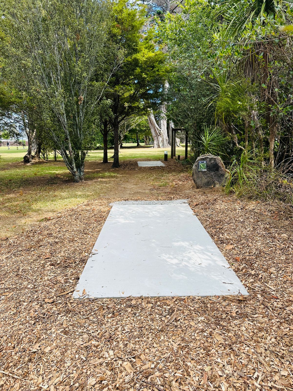 Disc Shop NZ Custom Tee Pad upgrade .. 2025