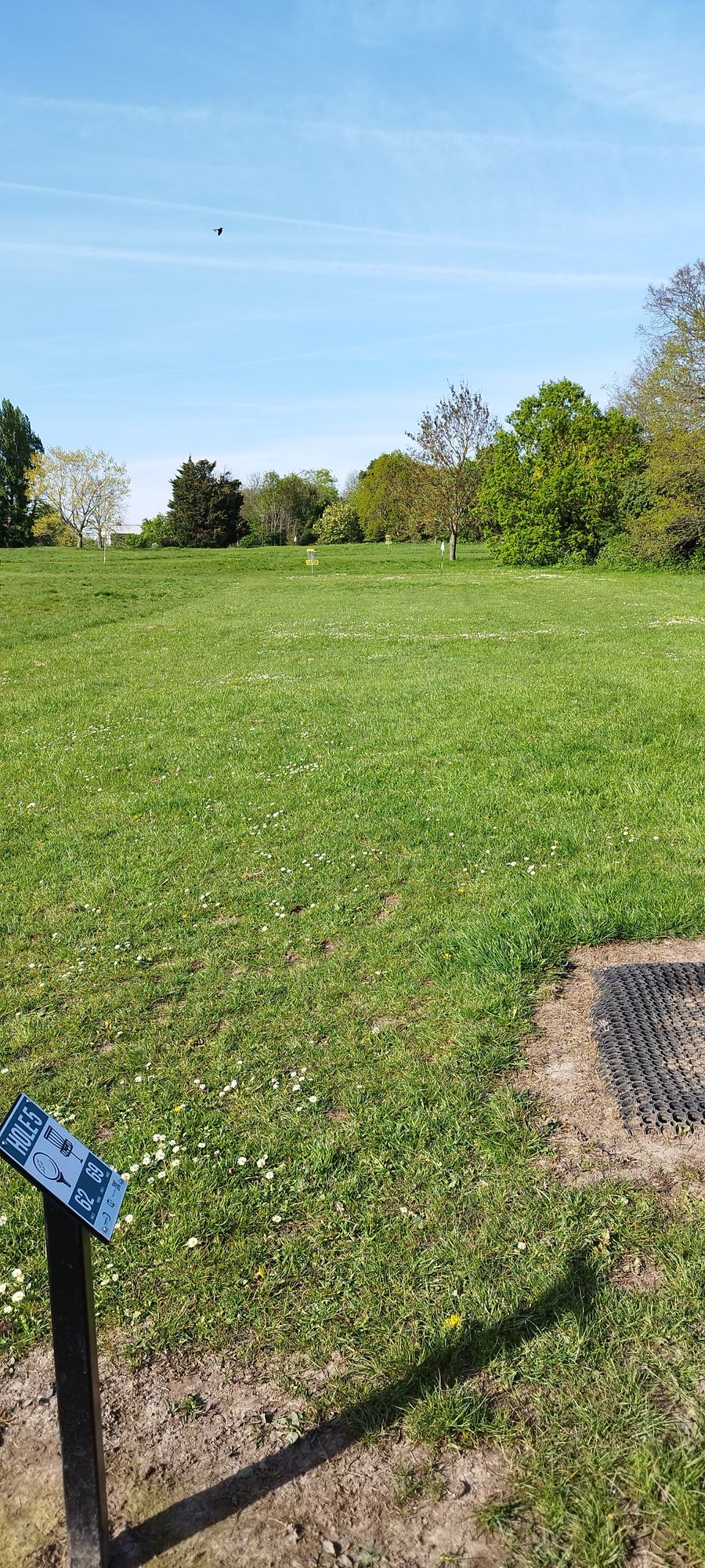 Hole 5
