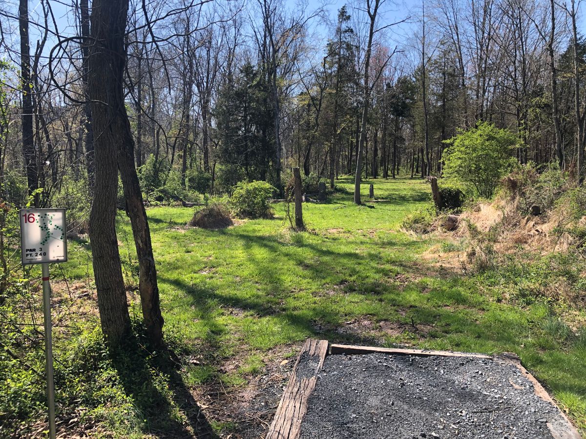 Hole 16 Short Tee