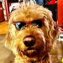 User avatar image