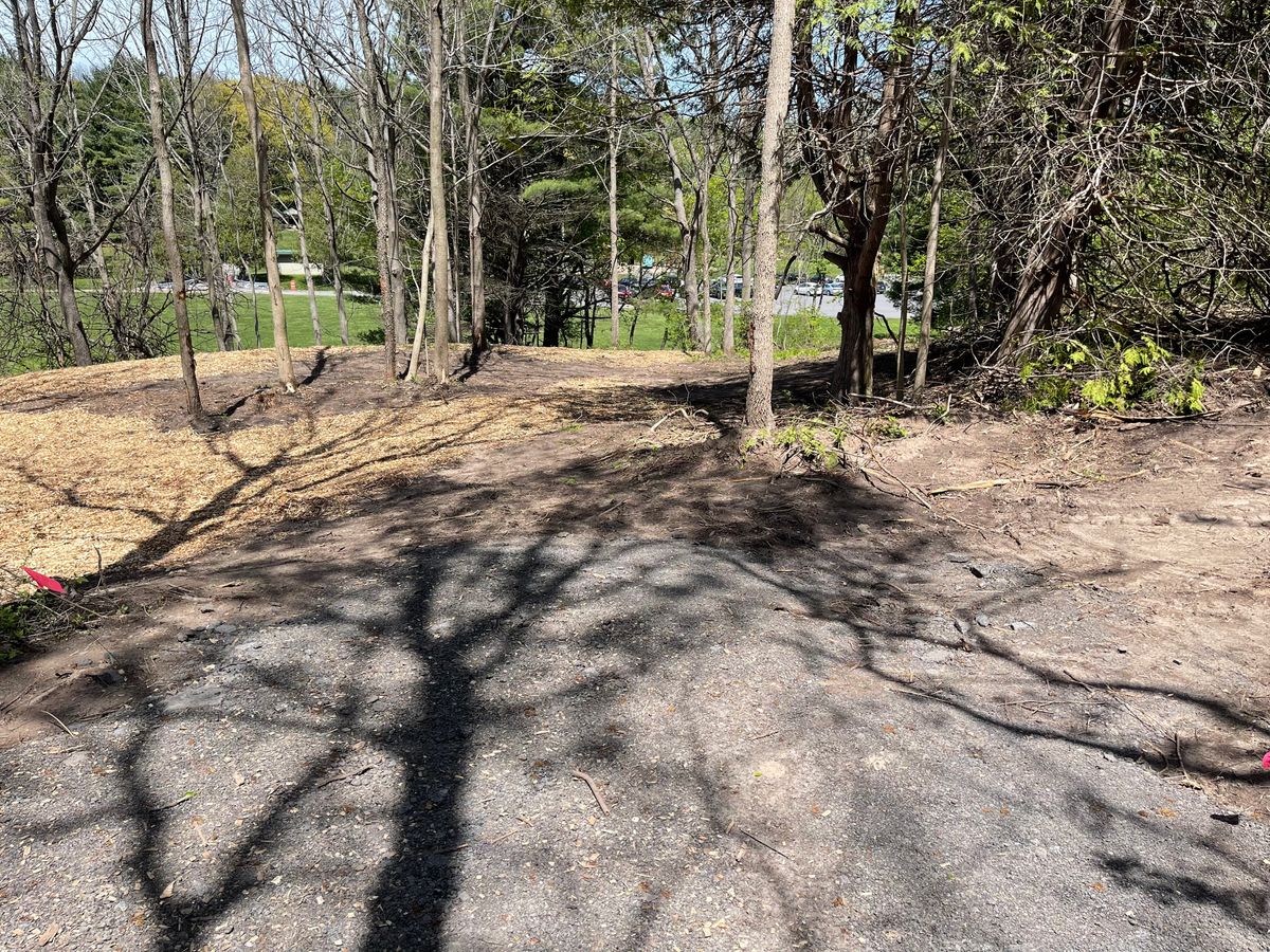 Hole 11 Short Tee