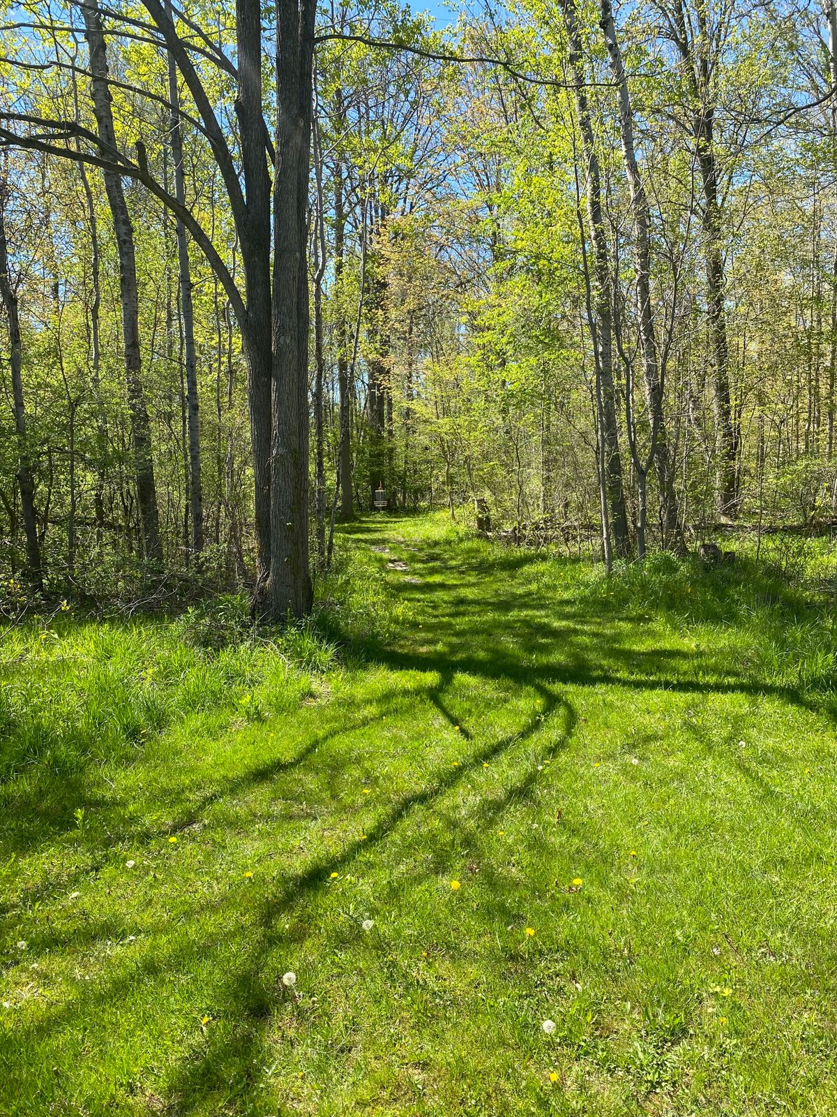 Hole 16