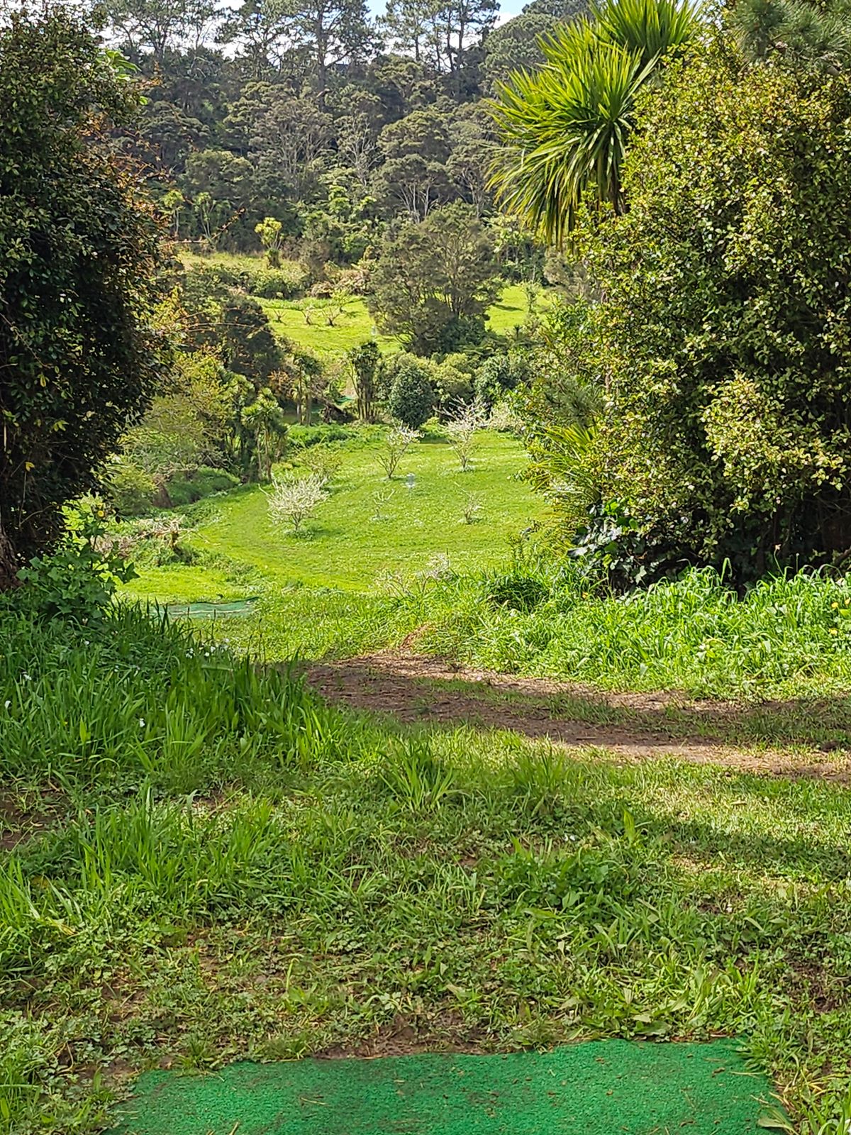 View from long tee hole 7