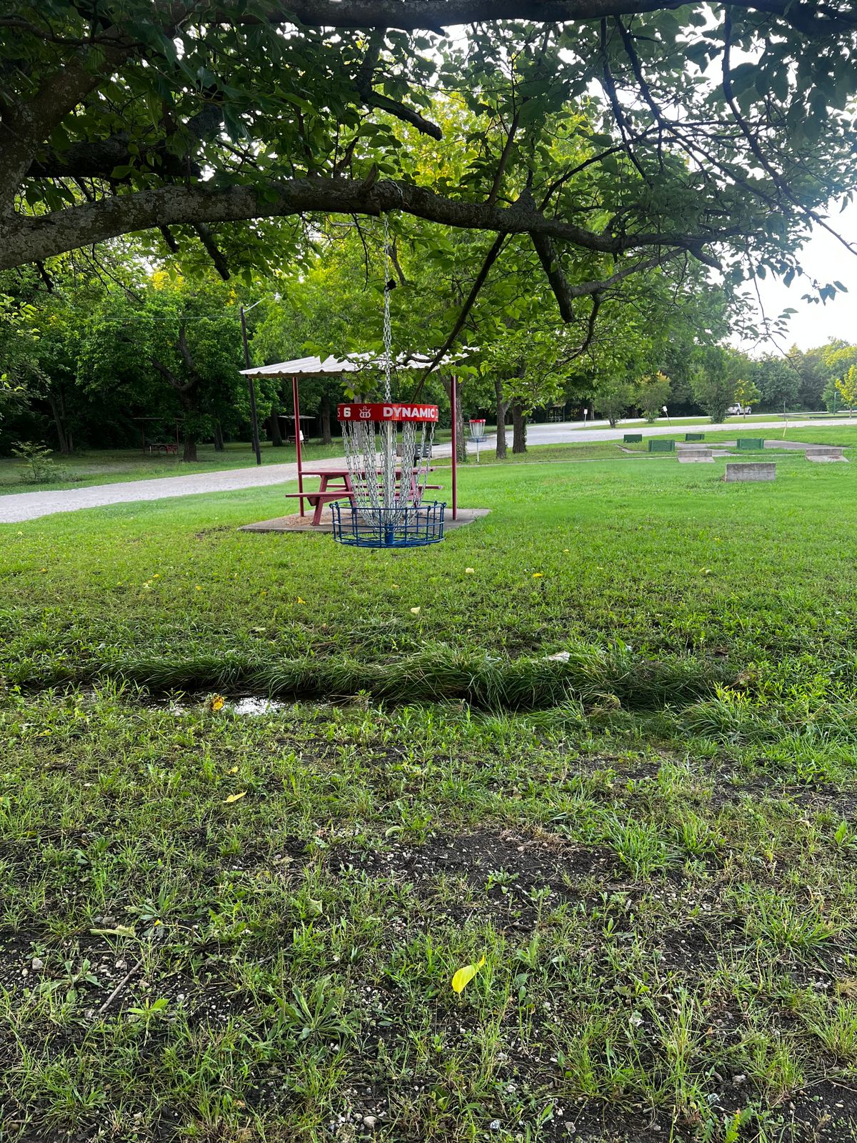 Hole # 6 Basket