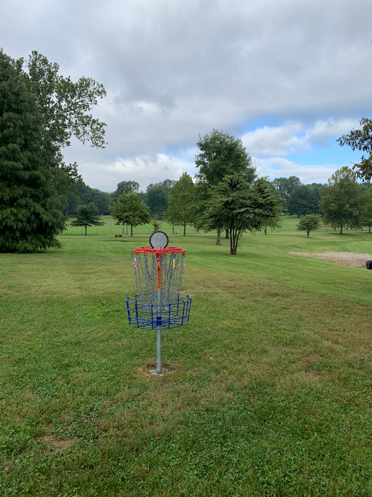 Hole 6 basket looking back towards tee pad