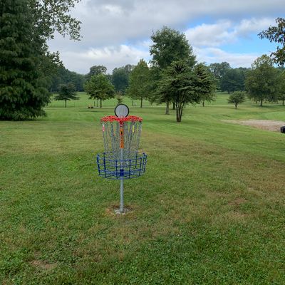 Hole 6 basket looking back towards tee pad