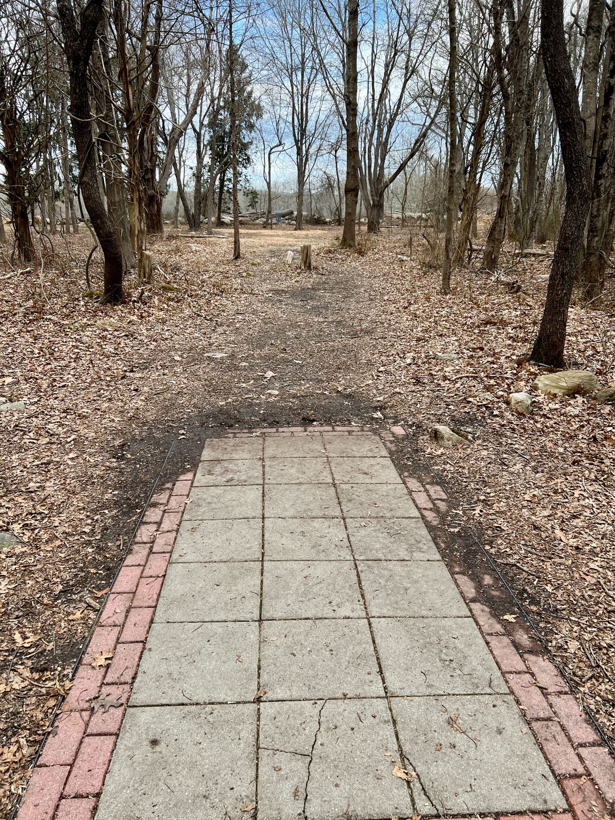 Hole #11a 3/25