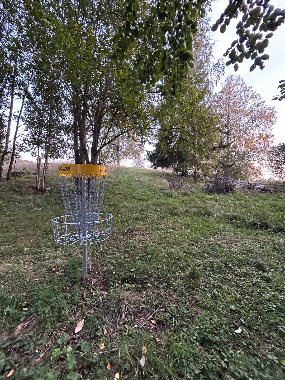 Hole 7 basket