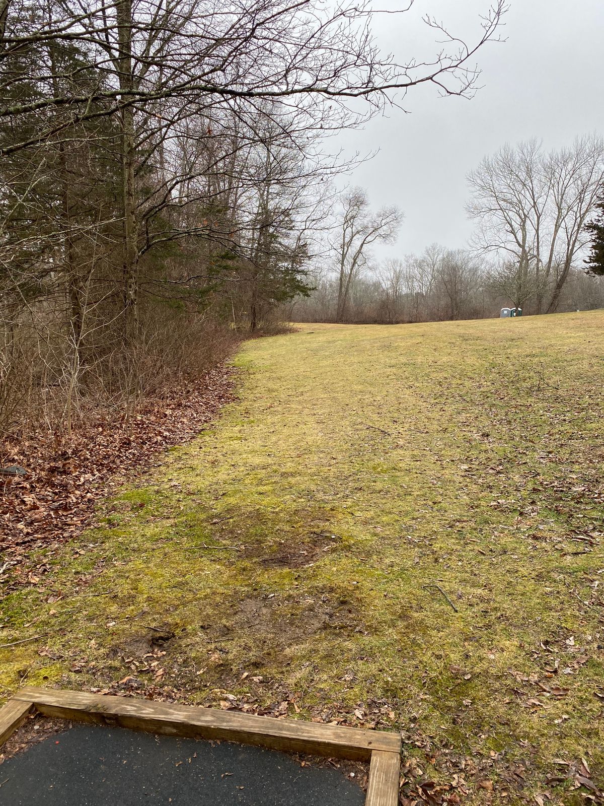 Hole 3 tee
