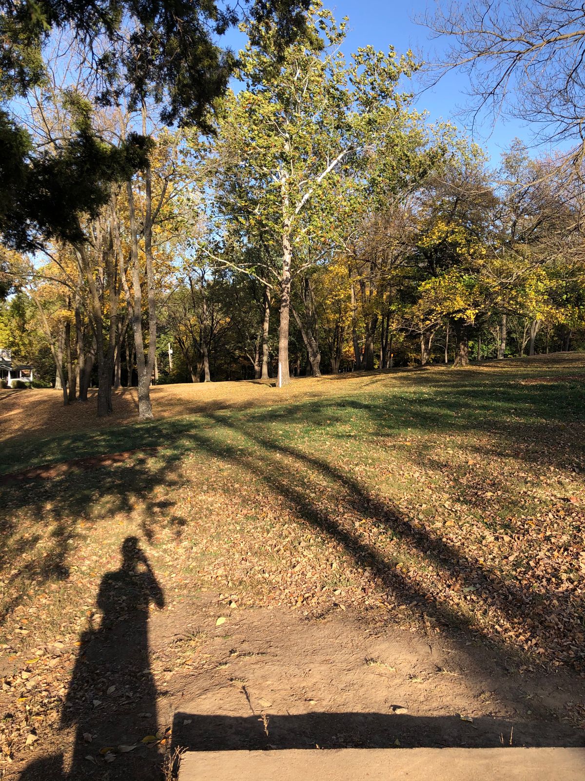 Hole 6 from the tee. Watch out for 1’s basket, and people walking to hole 2.