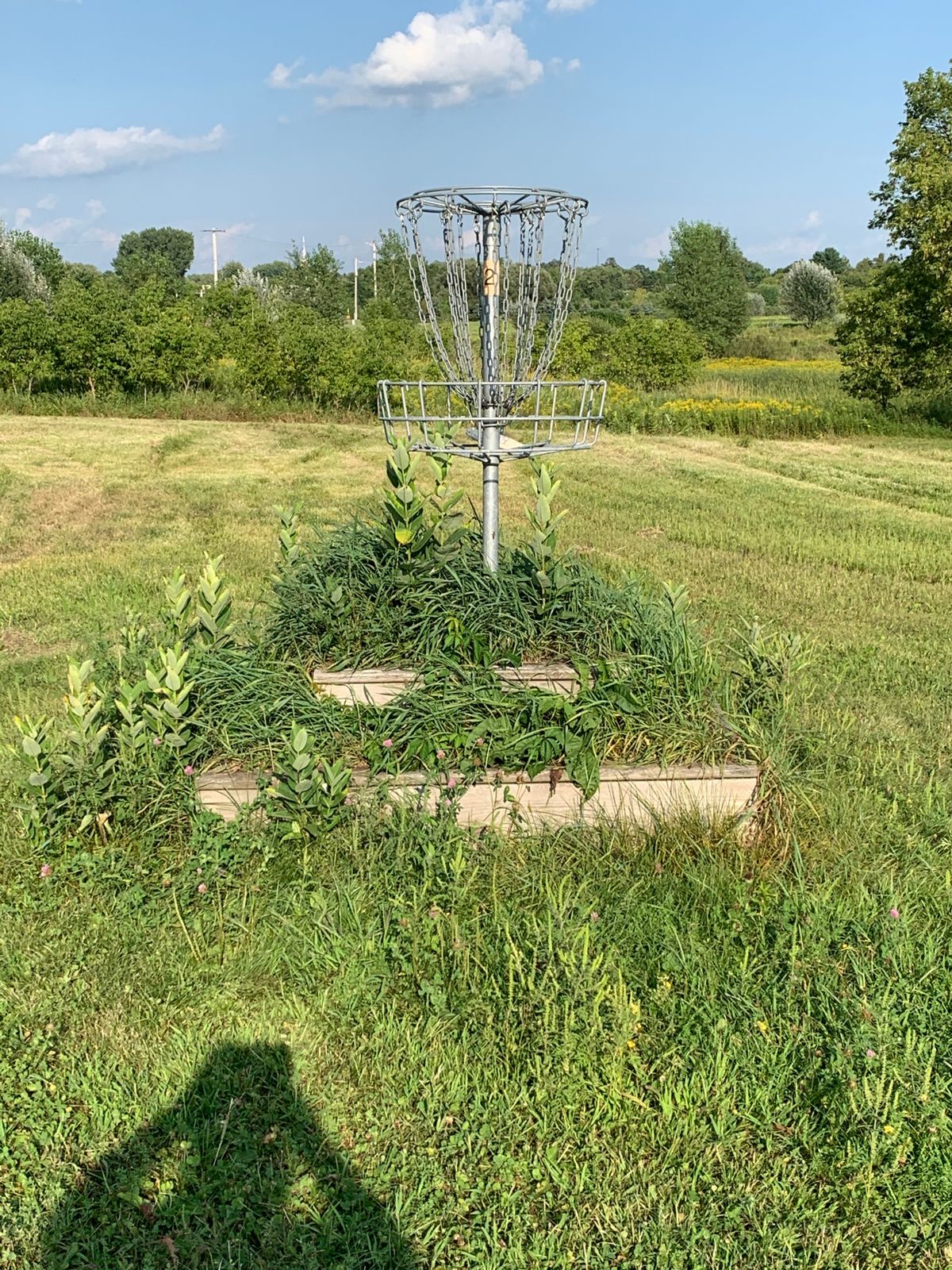 Basket for hole 2.