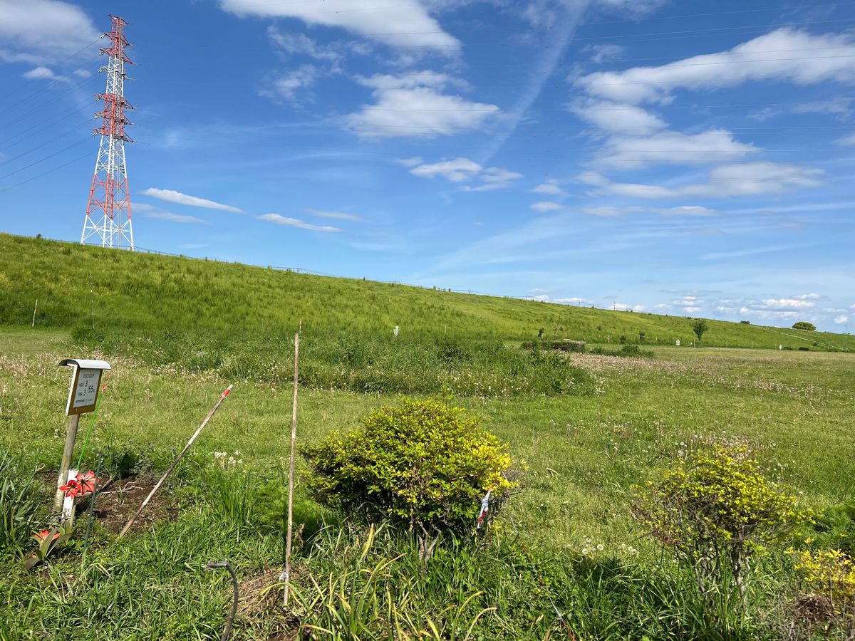 Hole 3. Basket between the rough and the high-grass embankment