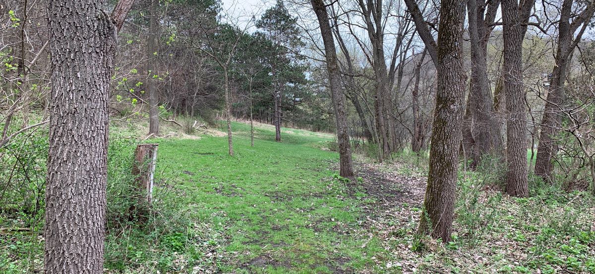 Hole 6