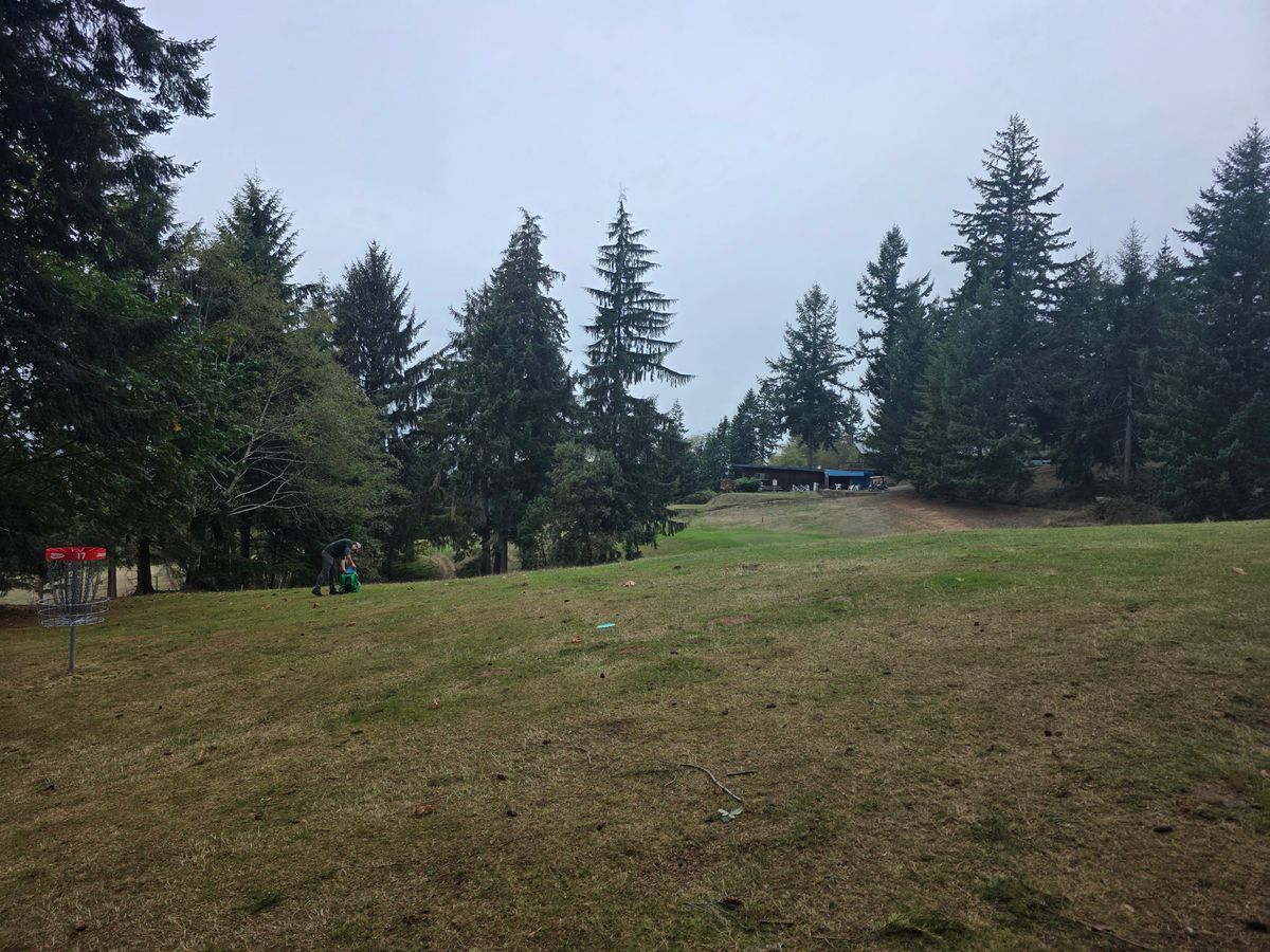 Hole 17 basket looking at club 
house