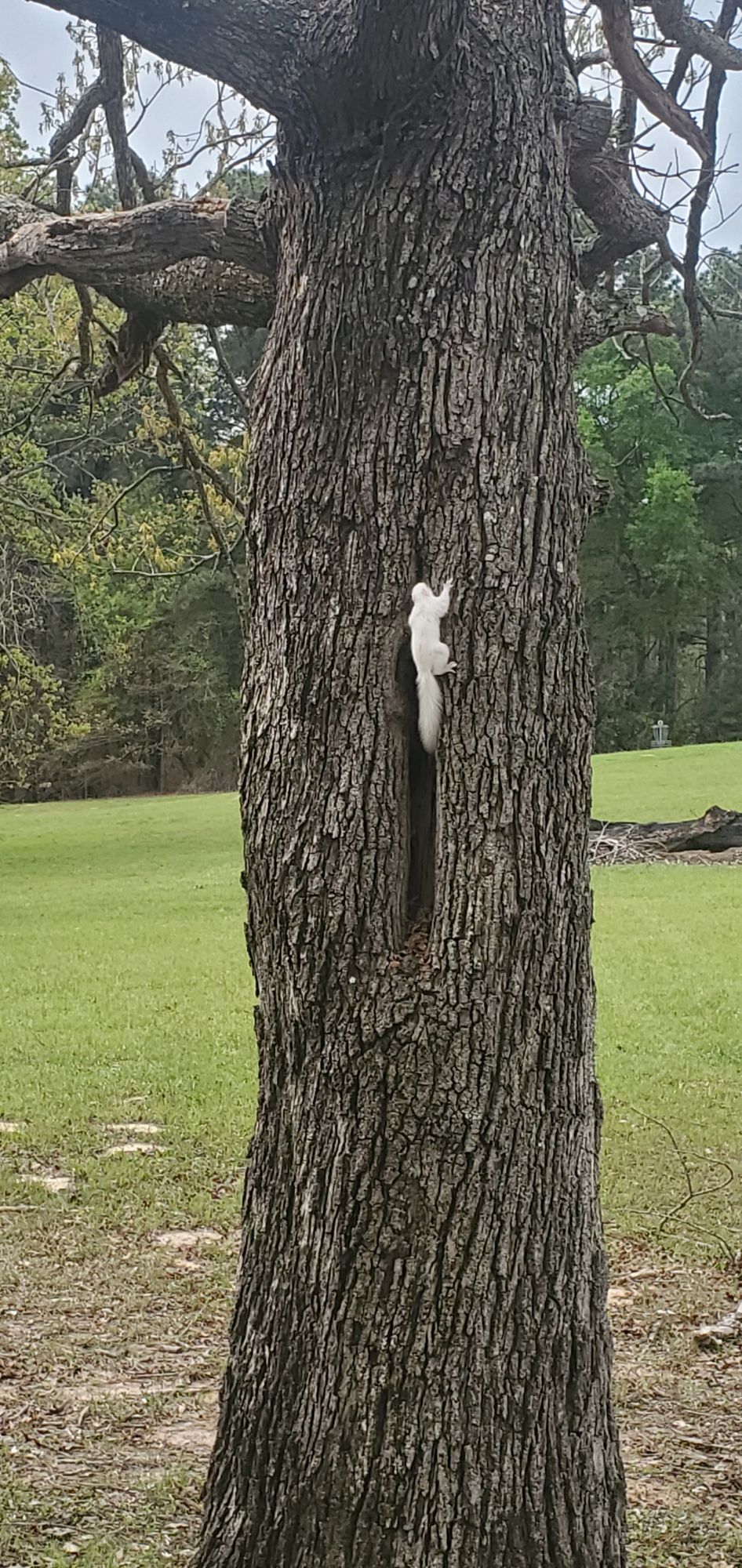 This guy has been seen!