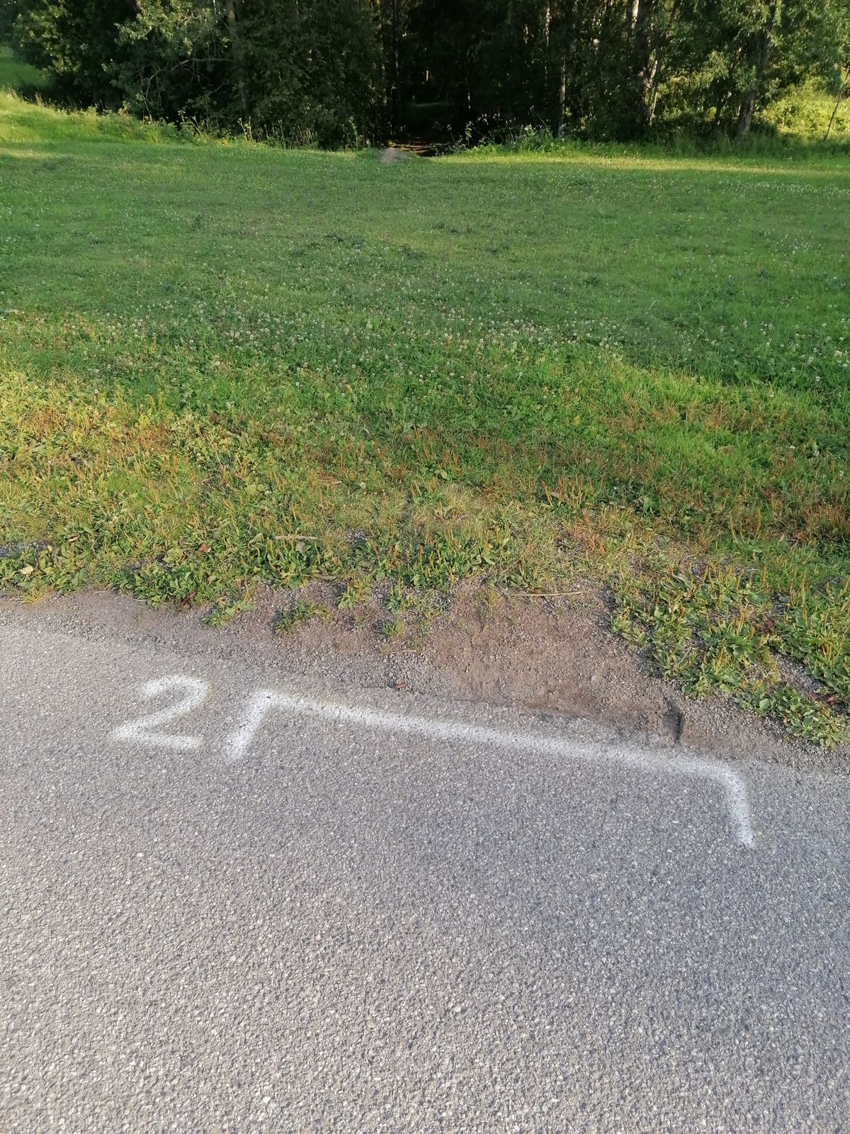 Look for Marks on the ground