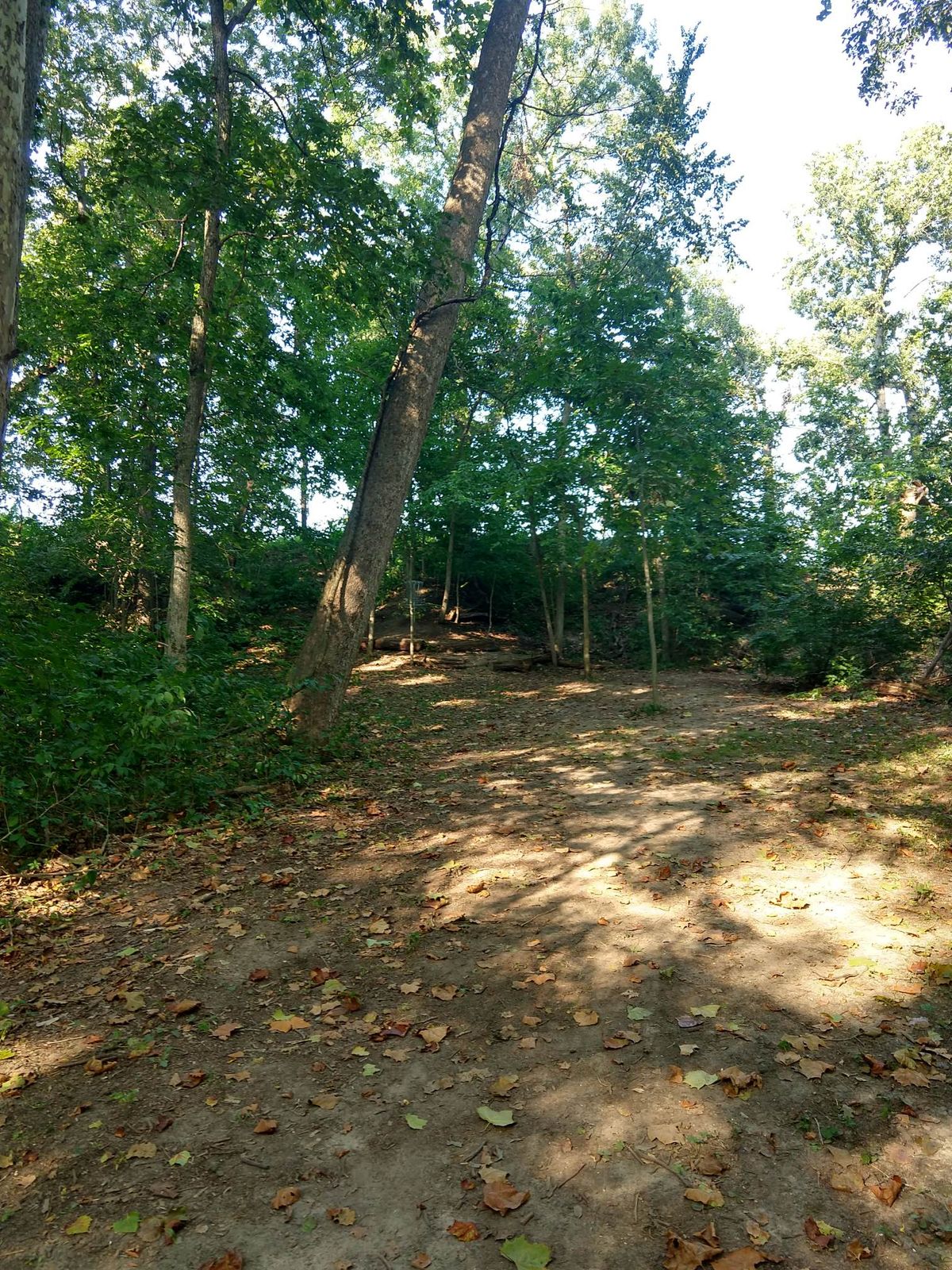 Hole 8