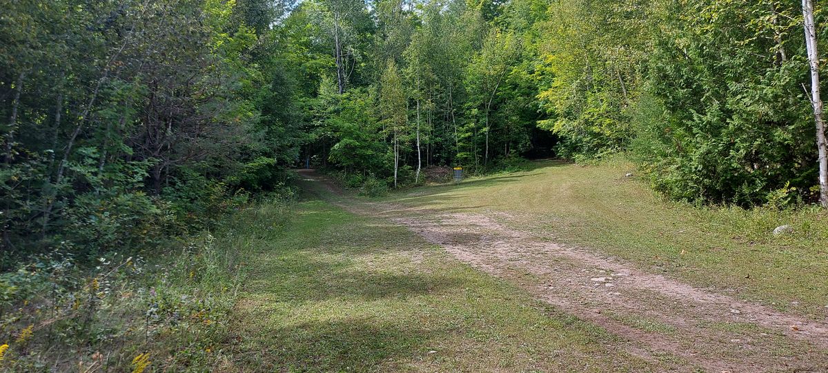Midrange approach to basket 10.🌲🌳☘🌲